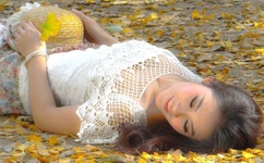 甜心派泰剧在线观看第二集